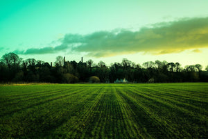 Irish Fields Outside Cork